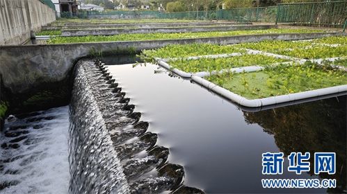 从污到清，循环新生 播州再生水利用迈上新台阶