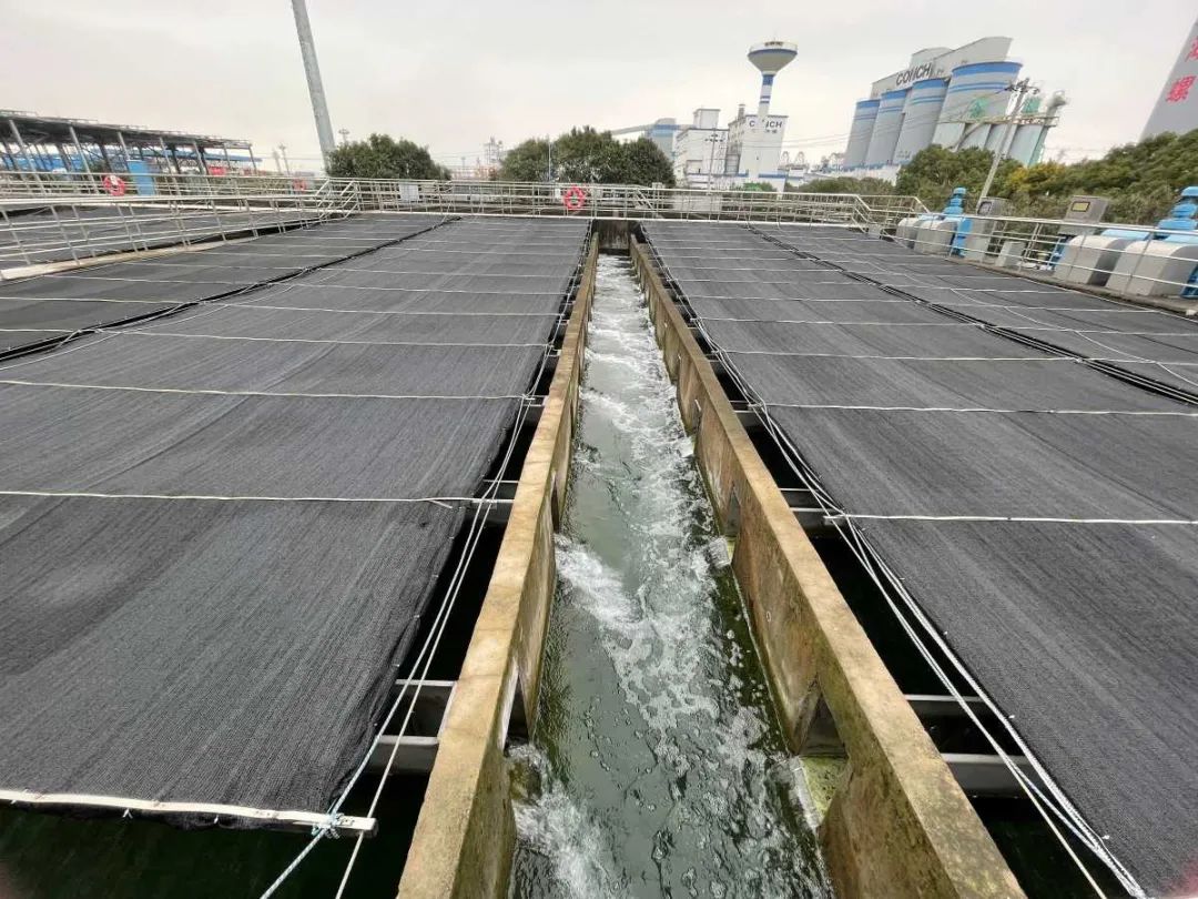 宁波实施五大工程，打造全国污水处理标杆