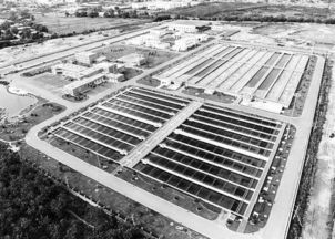 首都创再生水利用亮点 污水处理及其再生利用的创新实践